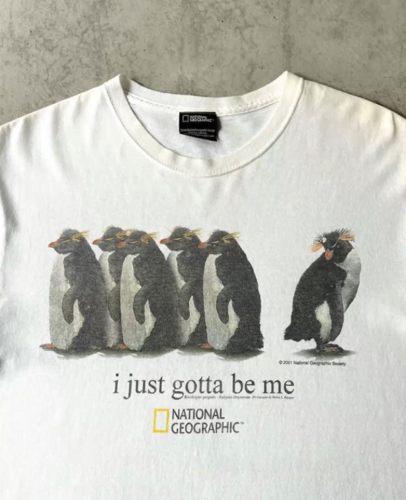 "I Just Gotta Be Me" Penguin T-Shirt, Vintage National Geographic Graphic Tee, Retro 2000s Rockhopper Penguin Nature Shirt, Cute Ironic Aesthetic - - More Option - Outfits For US