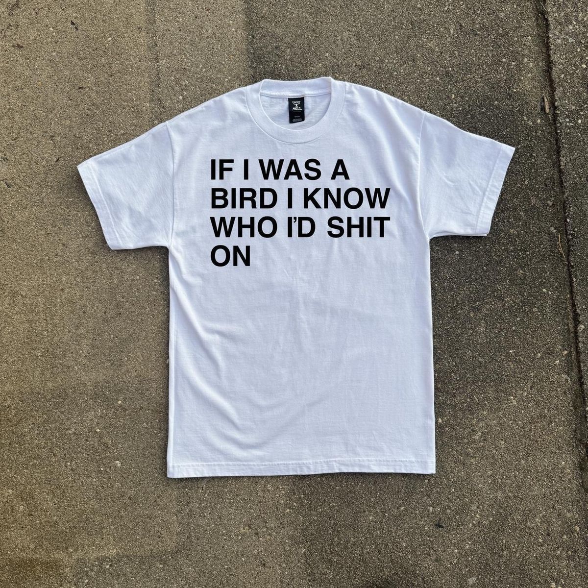 If i was a bird i know who i'd shit on - - More Option - Outfits For US