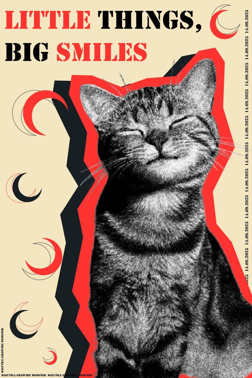 Poster of a smiling cat sitting under a crescent moon, minimalist cozy design - - For Men And Women Outfit