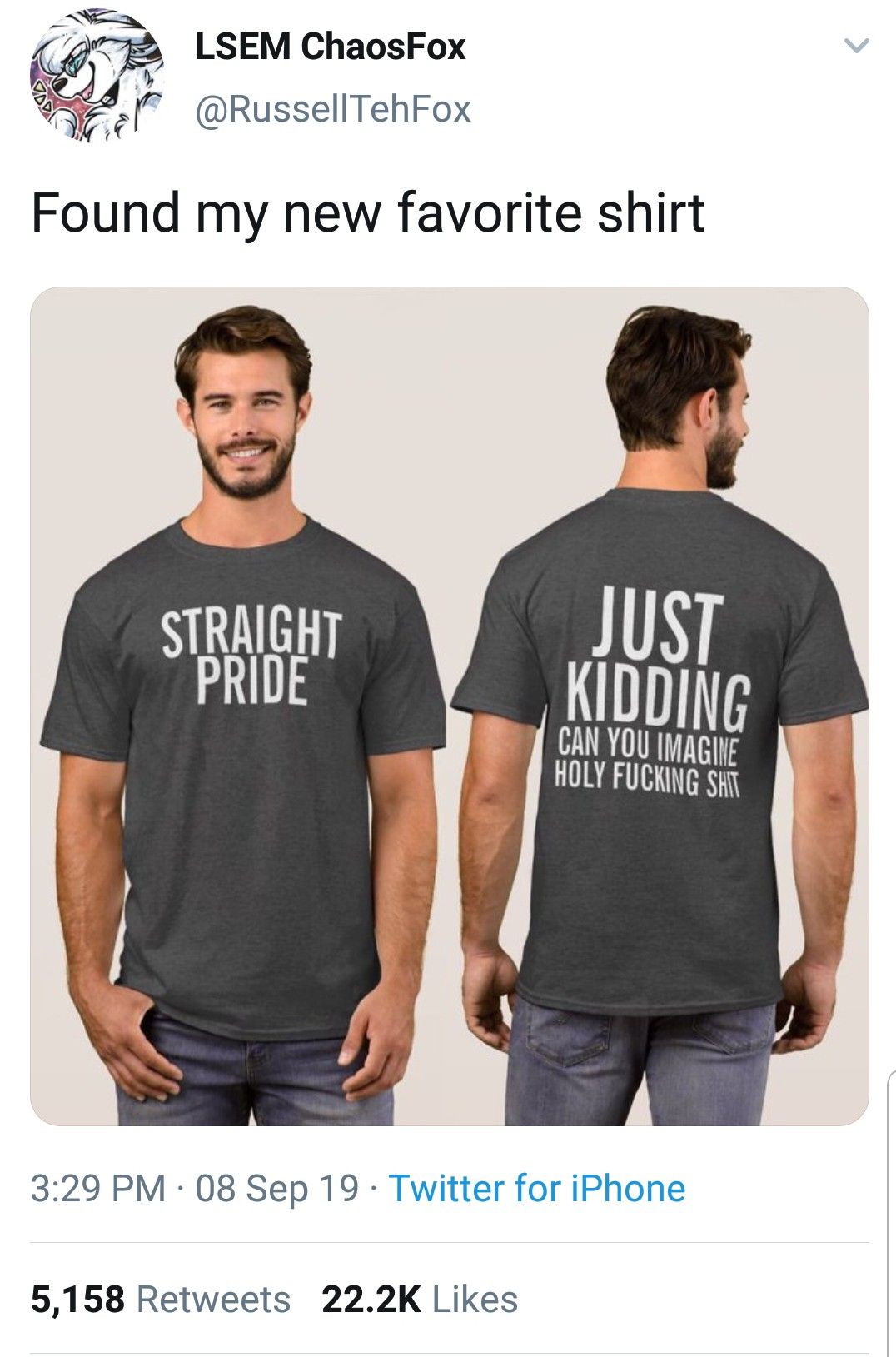 "Straight Pride Just Kidding" Funny Graphic Tee, Ironic LGBTQ Queer Satire T-Shirt, Sarcastic Front and Back Text Shirt, Edgy Gen Z Humour Streetwear - - More Option - Outfits For US